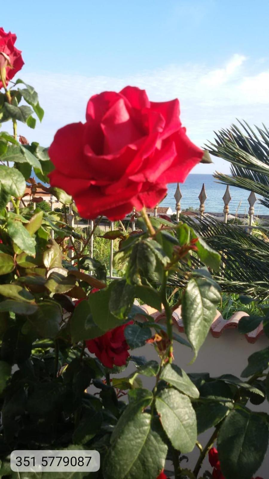 Casa Del Sole Βίλα Alcamo Εξωτερικό φωτογραφία